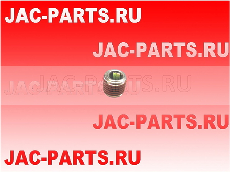 Заглушка блока цилиндров HFC4DE1-1D JAC N56 1002103GA