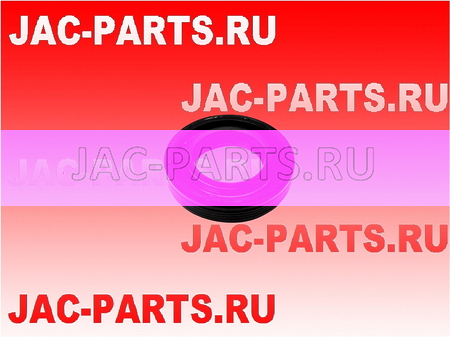 Кольцо уплотнительное форсунки сальник HFC4DE1 JAC N56 1014105FE010