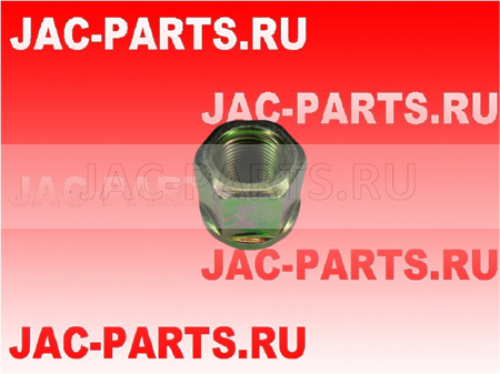 Гайка стремянки JAC N90 N120 2901038G1010