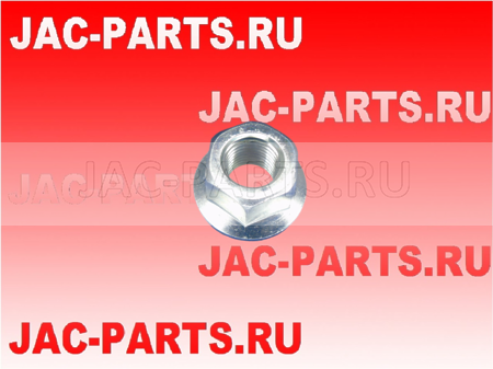 Гайка стремянки передней рессоры JAC N56 N75 N80 N90 2902022LE010