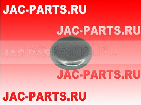 Крышка шкворня нижняя JAC N56 N75 N80 N90 3001107N