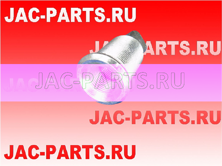 Гайка левой футорки JAC N56 3104056N