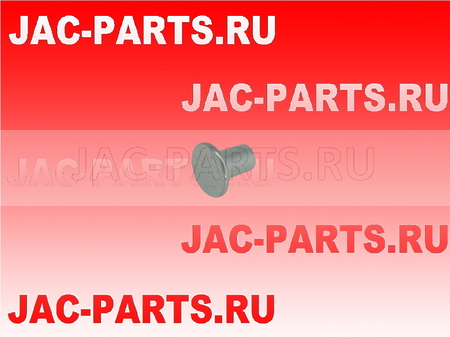 Заклёпка тормозной накладки задней JAC N56 GB875-86 GB87586